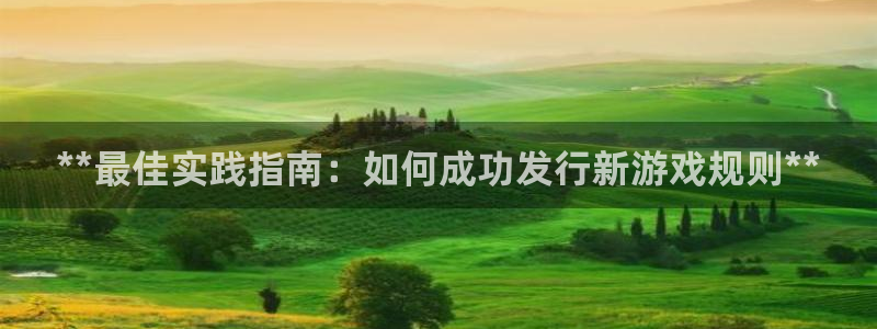 新宝gg平台：**最佳实践指南：如何成功发行新游戏规则**