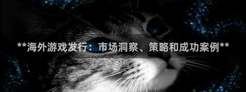 新宝gg官方注册1956：**海外游戏发行：市场洞察、策略和成功案例**