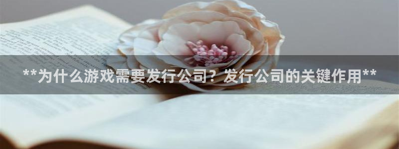 新宝gg注册账号：**为什么游戏需要发行公司？发行公司的关键作用**
