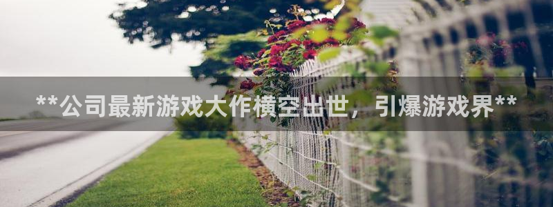 新宝gg提现不到账了?：**公司最新游戏大作横空出世，引爆游戏界**