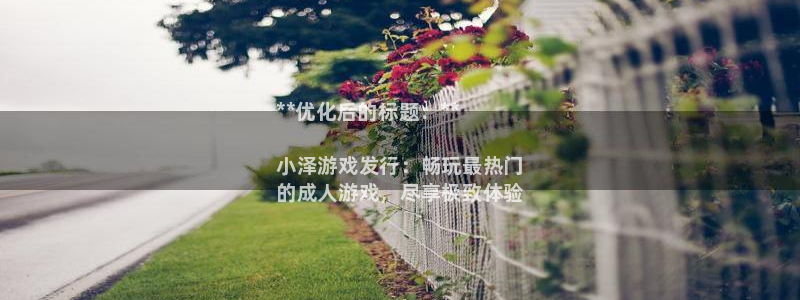 新宝gg游戏平台客服：**优化后的标题：**

小泽游戏发行：畅玩最热门
的成人游戏，尽享极致体验