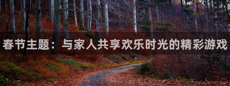 新宝gg一创造奇迹登录：春节主题：与家人共享欢乐时光的精彩游戏