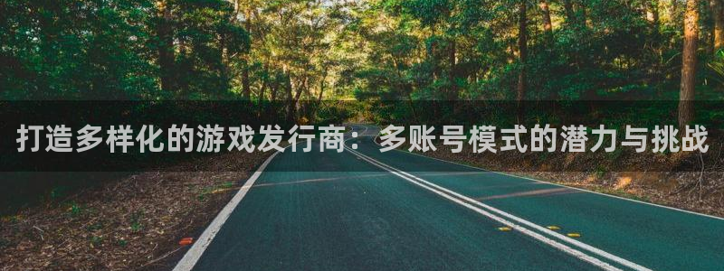 新宝gg创造奇迹平台：打造多样化的游戏发行商：多账号模式的潜力与挑战