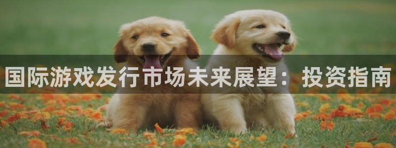 新宝gg一注册：国际游戏发行市场未来展望：投资指南