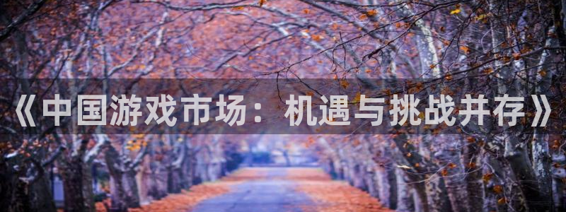 新宝gg奇迹登录