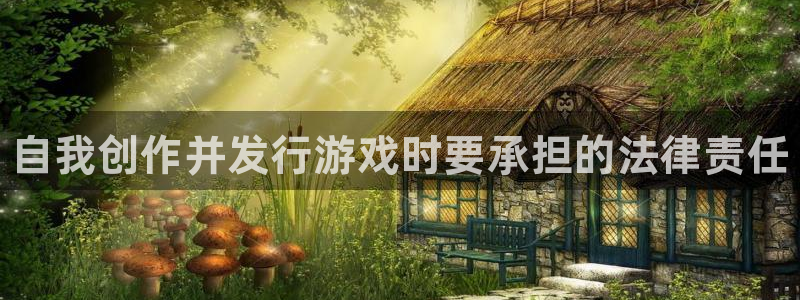 新宝gg怎么登录不了了：自我创作并发行游戏时要承担的法律责任