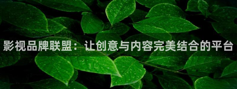 神秘电影影院