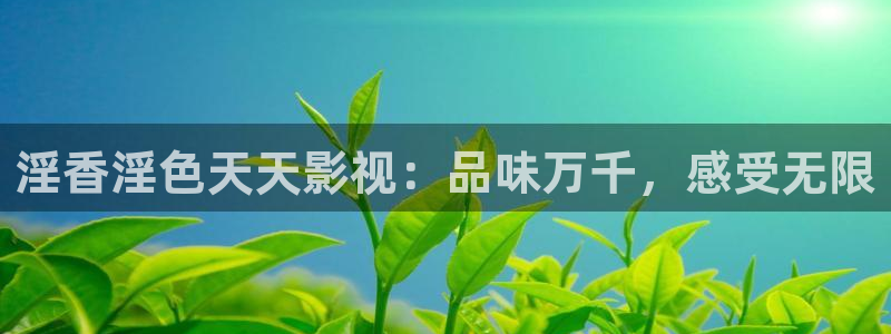 神秘博士高清免费观看